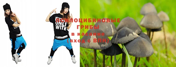 каннабис Алзамай