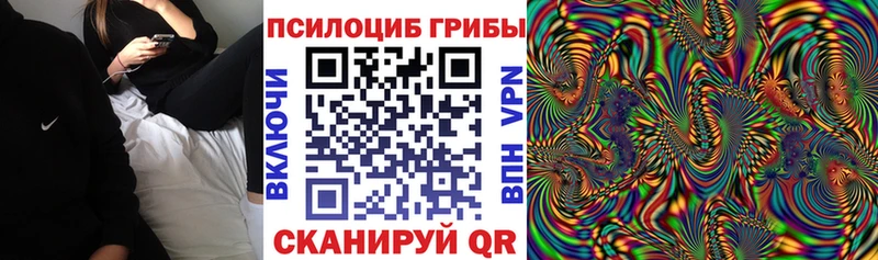 Псилоцибиновые грибы Psilocybe  Ревда 